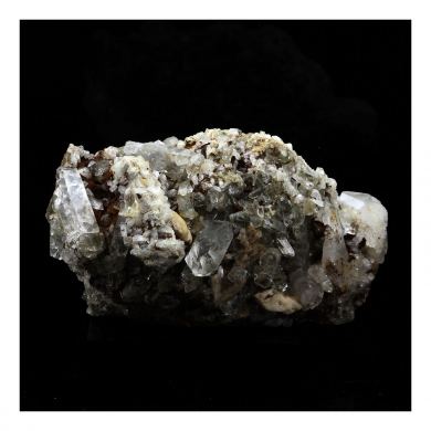 Quartz + Albite + Calcite.