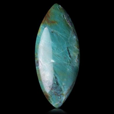 Fossilized Wood 28,00 ct 