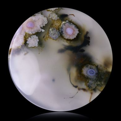 Agate Turkey 64,00 ct 