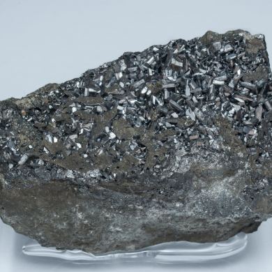 Chalcocite with Pyrite