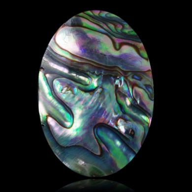 Abalone 31,86 ct 