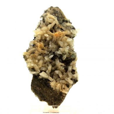 Albite + Epidote + Hématite.