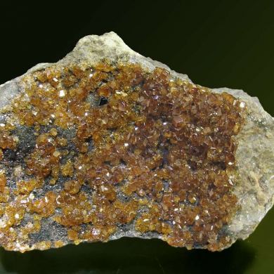 Andradite (variety topazolite) with Clinochlore