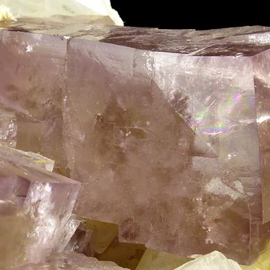 Fluorite, QUARTZ, CALCITE