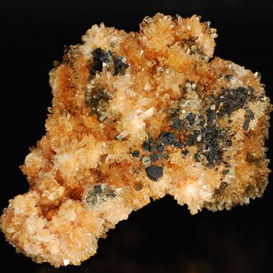 Creedite