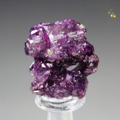 VESUVIANITE var. MANGANOAN, GARNET var. GROSSULAR
