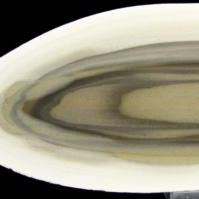 Striped flint