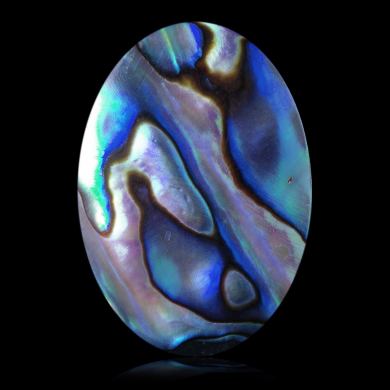 Abalone 36,83 ct 