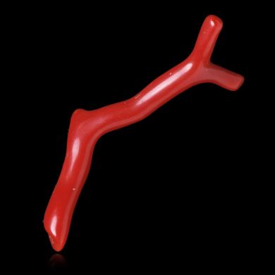 Red Coral 9,60 ct 