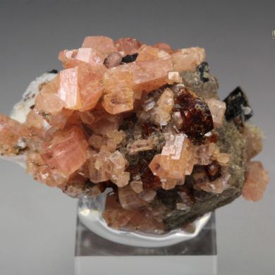 SERANDITE, MANGANONEPTUNITE