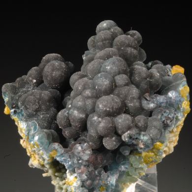 Plumbogummite - dark blue replacing Pyromorphite