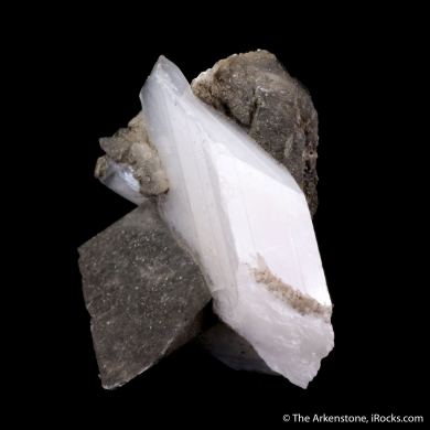 Whewellite