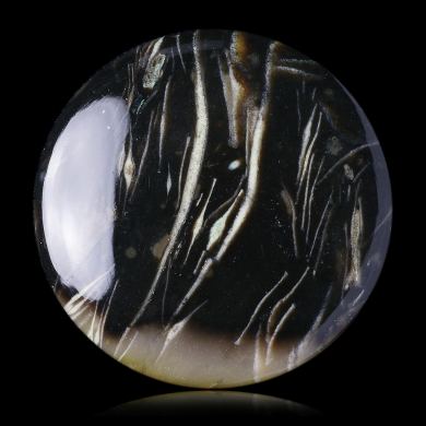 Fusulinid Fossils 56,00 ct 