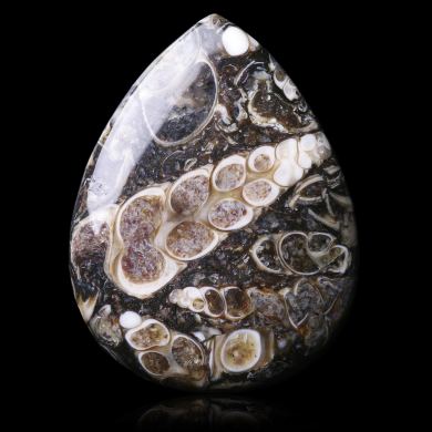 Turritella Agate 33,00 ct 