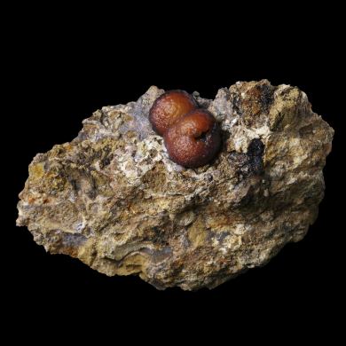 Lussatite Bourrière 