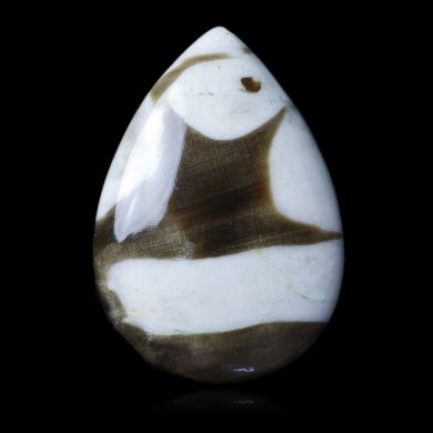 Fossilized Peanut Wood 23,25 ct 
