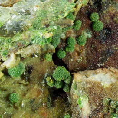 Arthurite, Olivenite