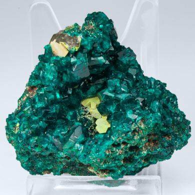 Dioptase with Wulfenite coated by Pyromorphite