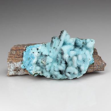 Chrysocolla pseudomorph with Malachite, Quartz