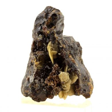 Sphalerite + Siderite