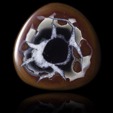 Septaria 29,00 ct 