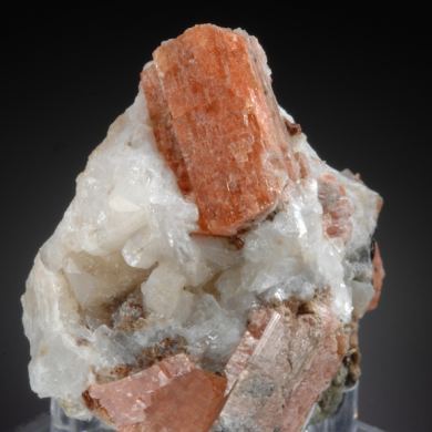 Serandite on Natrolite, Analcime, Mangan-Neptunite and Albite etc. 