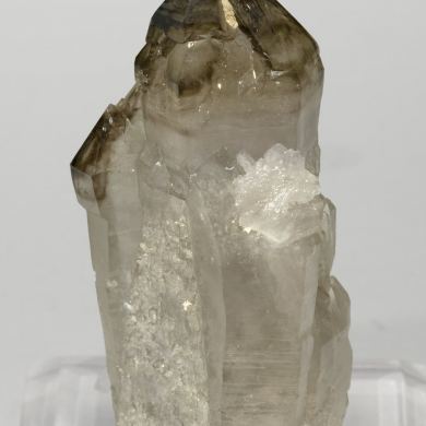 Sceptered smoky Quartz