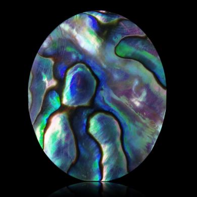 Abalone 36,02 ct 
