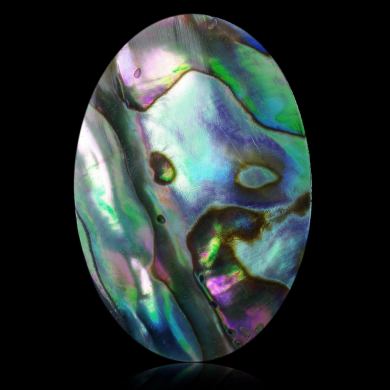 Abalone 32,45 ct 