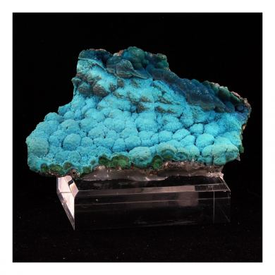 Chrysocolle.