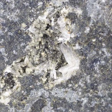 Hannebachite with Phillipsite-Ce