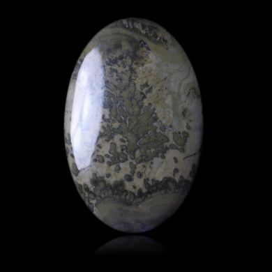 Stromatolitic Marble 58,70 ct 