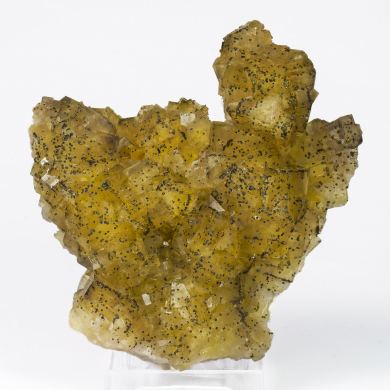 Fluorite with Pyrite inclusions