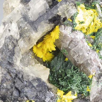 Kasolite with Malachite