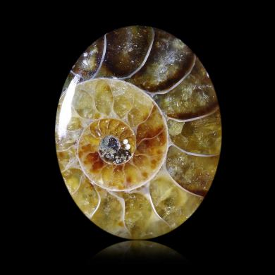 Ammonite 10,37 ct 
