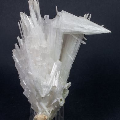 Scolecite