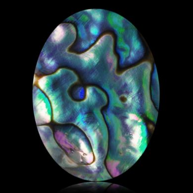Abalone 37,02 ct 