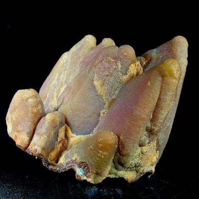 Smithsonite perimorph on Calcite