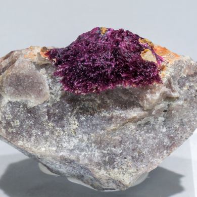 Erythrite with Phlogopite