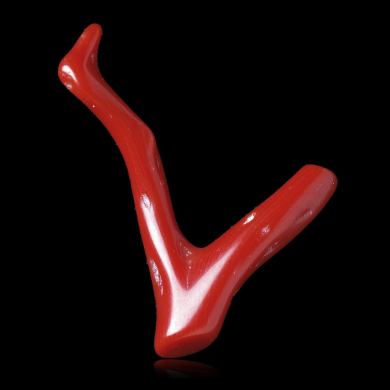 Red Coral 5,44 ct 