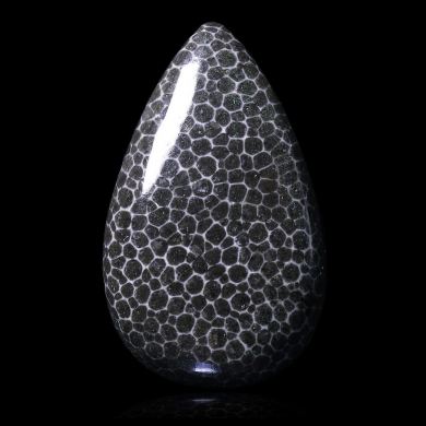 Fossil coral 30,00 ct 