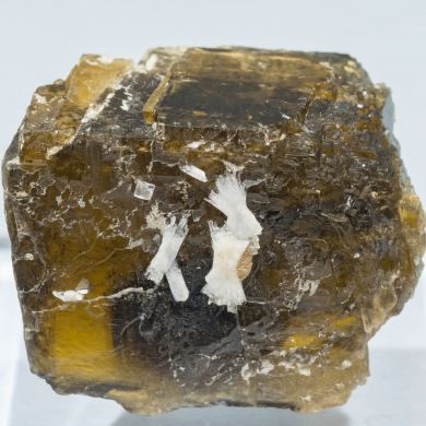 Siderite with Fluorapatite