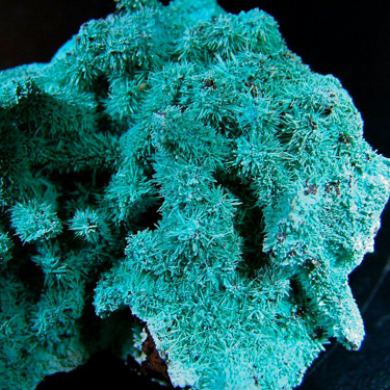 Chrysocolla ps on Azurite ps on Malachite