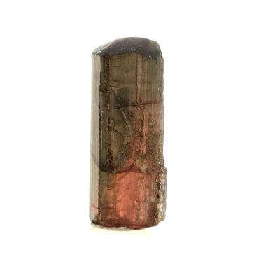 Liddicoatite Tourmaline.
