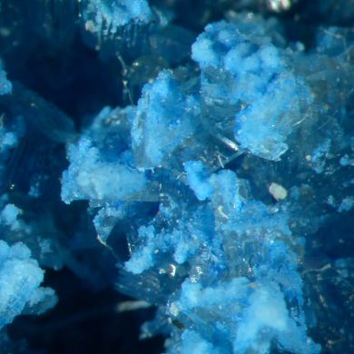 Vauxite (outstanding color!)