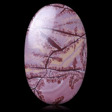 Sonora Dendritic Rhyolite 61,40 ct 