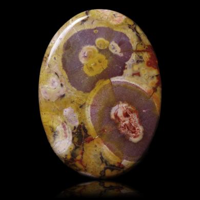 Orbicular Jasper 71,25 ct 