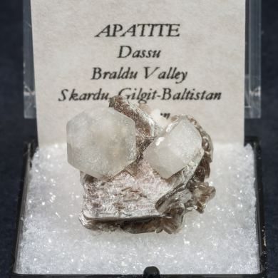 Fluorapatite with Muscovite