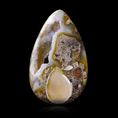 Agatized gastropod 27,00 ct 