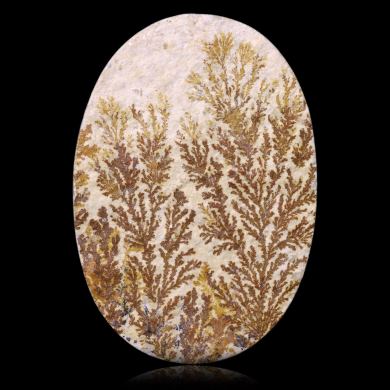 Dendritic limestone 40,50 ct 